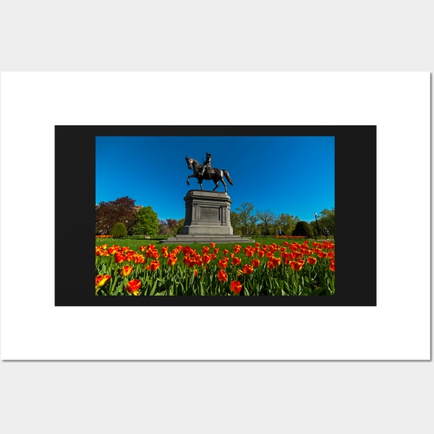 Boston Public Garden Tulips Boston MA Wall Art by WayneOxfordPh